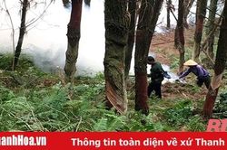 Hạt Kiểm lâm ven biển: Chủ động bảo vệ rừng trong mùa nắng nóng