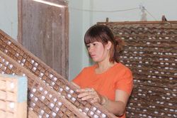 Thành quả của sự đồng lòng
