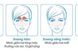 Học cách bảo vệ mũi cho bé cưng và cả nhà