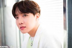 Trong thế giới fangirl: Hoseok cho tớ thấy muốn leo lên đỉnh thì đừng sợ rơi xuống