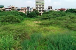 Vì sao gần 8.000 m2 đất vàng bị bỏ hoang giữa trung tâm TP Hải Dương?