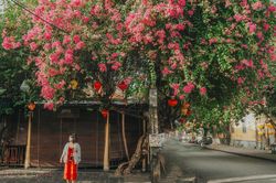 Lang thang những góc sống ảo lạ khi đến Hội An