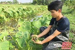 Thanh Hóa: Làm giàu từ mô hình nuôi trồng thủy sản