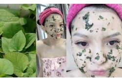 Trị mụn bọc, mụn viêm bằng rau diếp cá vừa hiệu quả nhanh lại an toàn, bạn đã thử chưa?