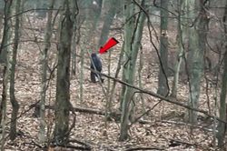 Hai du khách theo dấu quái vật chân to Bigfoot trong công viên