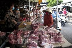 Giá lợn hơi ở Hà Nội tăng trở lại