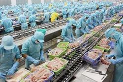 Hỗ trợ doanh nghiệp tối đa để thực thi hiệu quả Hiệp định EVFTA