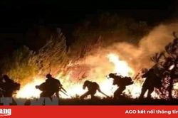 Nắng nóng gay gắt nhiều ngày, cháy rừng liên tiếp xảy ra ở các tỉnh miền Trung