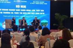 Hỗ trợ DN xuất khẩu vào thị trường EU