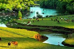 Sau những cuộc trở về tình thế