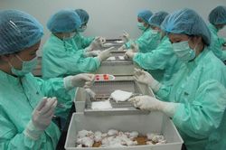 Việt Nam sắp thử nghiệm vaccine ngừa Covid-19 trên người