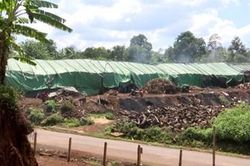 Lò than trái phép gây ô nhiễm môi trường