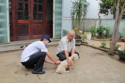 Đắk Lắk: Năm trường hợp tử vong do bệnh dại