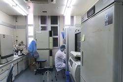 Bộ Y tế thông tin về ca nghi mắc COVID-19 trở về từ Trung Quốc