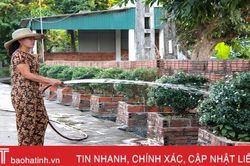 Người dân Kỳ Anh giữ màu xanh cho các tuyến đường trong nắng hạn