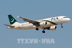 EU 'cấm cửa' hãng hàng không quốc gia Pakistan sau vụ bằng giả