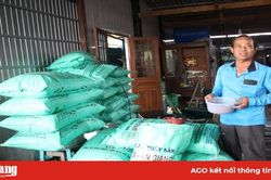 Một nông dân ở Chợ Mới dụ nuôi hàng ngàn cá tra sông tự nhiên trước bến sông nhà để ngắm
