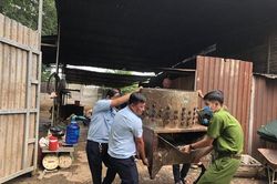 Phát hiện gần 10 cơ sở giết mổ gia cầm 'chui'
