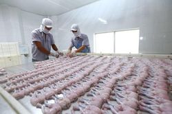 Ủy ban châu Âu thông báo thời điểm Hiệp định EVFTA có hiệu lực