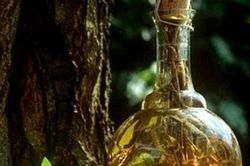 Dược tửu tư âm tráng dương