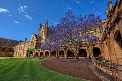 Tin vui: Đại học Sydney (Úc) mở rộng danh sách trường THPT được tuyển thẳng tại Việt Nam