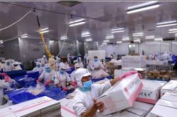 Số phận những cổ phiếu âm dòng tiền: IDI xay tiền - ướp cá tra
