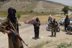 Mỹ cáo buộc Taliban vẫn duy trì quan hệ với al-Qaeda