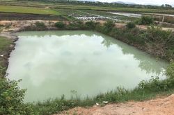 Hai trẻ em đuối nước tại hồ chứa nước tưới tiêu ở Gia Lai