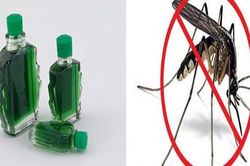 Mẹo 'cực độc' để lũ muỗi tự 'cao chạy xa bay' chỉ với 3 giọt dầu gió