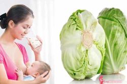 Những thực phẩm rẻ bèo nhưng cực tốt cho mẹ bầu và thai nhi