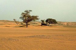 Lý giải gây sốc về việc Sahara biến thành sa mạc