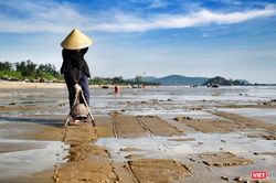 Cụ bà gần 80 tuổi lận đận mưu sinh ở bãi biển Cửa Lò