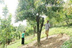 Người cao tuổi mẫu mực