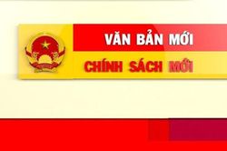Giới thiệu chính sách pháp luật mới