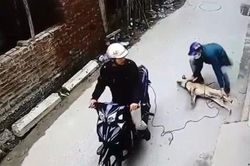 Người dân vây đánh nam thanh niên nghi trộm chó