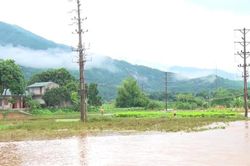 Mưa lớn gây thiệt hại ở Lào Cai