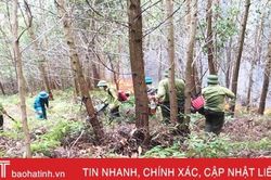 Kịp thời khống chế cháy rừng ở tiểu khu 226, Hương Khê