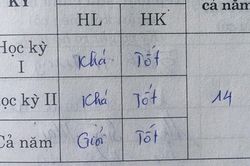 Hai học kỳ loại khá, cuối năm vẫn giỏi, dân mạng ngã ngửa khi '30 chưa là Tết'