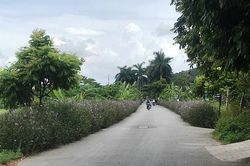 Truy tìm hai kẻ bịt mặt chém trọng thương cán bộ phường ở Hải Phòng