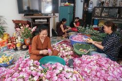 'Dệt' hương cho trà