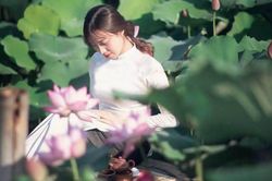 Hương sen