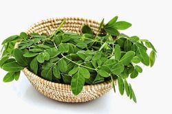 Cách làm bột chùm ngây nấu cháo thơm ngọt, giàu dinh dưỡng cho con ăn dặm của mẹ Hà Nội