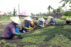Nhiều hoạt động chăm lo ổn định cuộc sống cho hội viên, phụ nữ