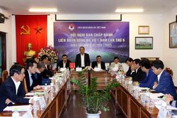 VFF 'khóa sổ' ứng viên Phó Chủ tịch tài chính ngày 15-7
