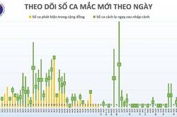 Nóng: Việt Nam có thêm 14 ca mắc Covid-19 mới, đều từ nước ngoài về