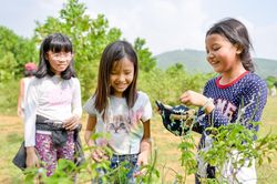 'Nghỉ hè 3 tháng không dài, thậm chí còn ngắn'