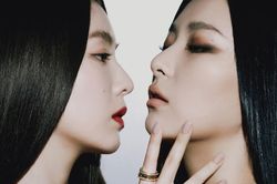 Fan Red Velvet tức tối khi SM bất ngờ báo hoãn MV 'Monster' của Irene và Seulgi