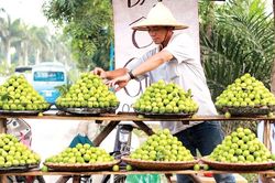 Những làng quả ngọt