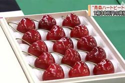 Cherry Nhật đắt kỷ lục, về Việt Nam giá 6,6 triệu đồng/kg