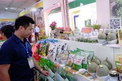 Huyện Ba Vì (Hà Nội): Gắn sao OCOP, thêm cơ hội cho sản phẩm địa phương